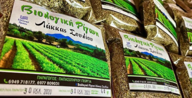 ΠΑΠΑΣΩΤΗΡΙΟΥ ΓΕΩΡΓΙΑ Φωτογραφία 2