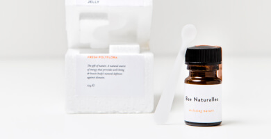 ΝΩΠΟΣ ΠΟΛΥΑΝΘΙΚΟΣ ΒΙΟΛΟΓΙΚΟΣ ΒΑΣΙΛΙΚΟΣ ΠΟΛΤΟΣ Φωτογραφία 