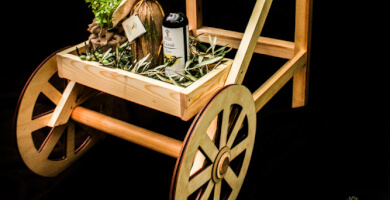 ΚΤΗΜΑ ΚΟΝΤΟΓΙΩΡΓΗΣ ΙΚΕ Φωτογραφία 2