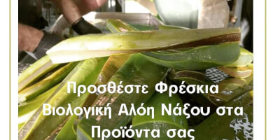 ALOE VERA NAXOS Photo 2