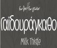 Γαϊδουράγκαθο
