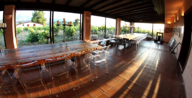 KOKOTOS ESTATE Photo 4