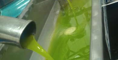 ELIDIA OLIVE OIL Φωτογραφία 5