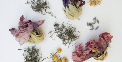 Youthful Joy (νέο προϊόν) Φωτογραφία 