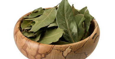 Bay Leaf