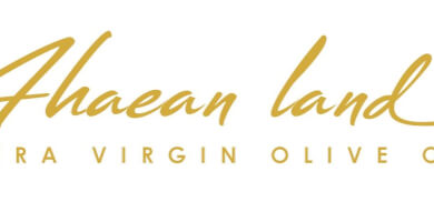 Company Image