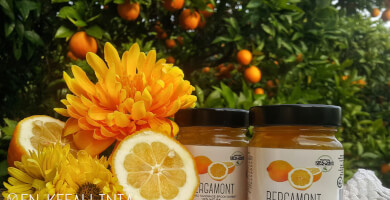 ΠΕΡΙΦΕΡΕΙΑ ΙΟΝΙΩΝ ΝΗΣΩΝ Φωτογραφία 3