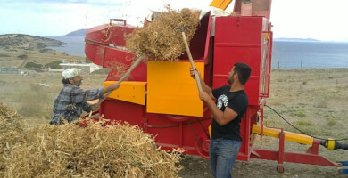 FAVA SCHINOUSSA - OKTO ADELPHIA Photo 3