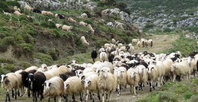 Region of Crete Photo 3 Region of Crete Photo 3