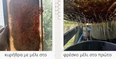 Μέλι Φλώρινας "Το Εμμελάκι" Φωτογραφία 3