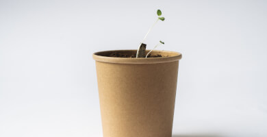 Drink it, Plant it - Organic Herbal Tea Blends Photo 