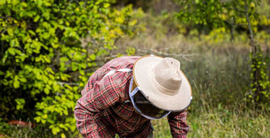 ΟΡΕΙΝΟ PURE GREEK HONEY Φωτογραφία 1