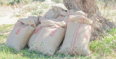 ΚΤΗΜΑ ΚΟΝΤΟΓΙΩΡΓΗΣ ΙΚΕ Φωτογραφία 1