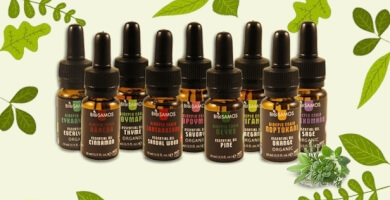 BIOSAMOS Φωτογραφία 2