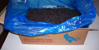 Σταφίδα Ζακύνθου Φωτογραφία 