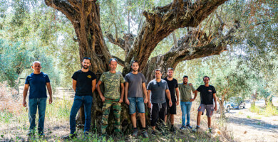 Company Image