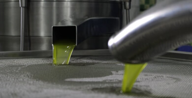 Εξαιρετικό Παρθένο Ελαιόλαδο "Κλειώ", Κουτσουρελιάς - Πατρινής, 500ml Φωτογραφία 