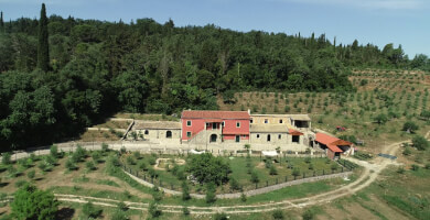 ΠΟΤΟΠΟΙΪΑ Θ. ΒΑΣΙΛΑΚΗΣ Α.Ε. Φωτογραφία 1