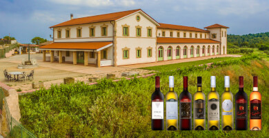 ΤΖΙΒΑΝI BIO WINES Φωτογραφία 2