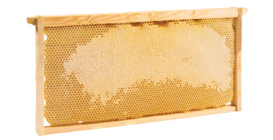 Honeycomb frame