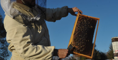 MELODIA Φωτογραφία 1