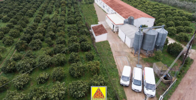 DANOPOULOS FARM Φωτογραφία 1