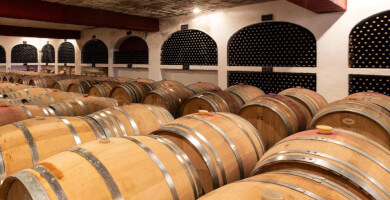 KOKOTOS ESTATE Photo 2