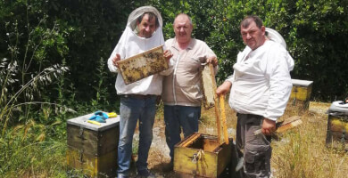 KALDANIS FAMILY APICULTURE Photo 1