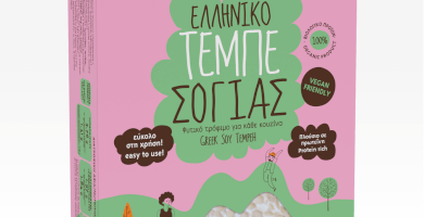 Soy Tempeh BIO