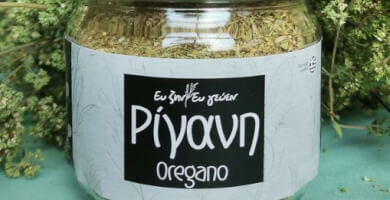 Origano Photo 