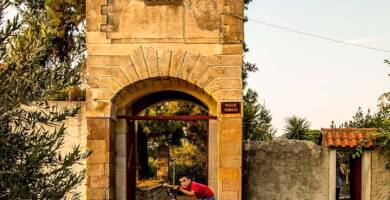 TOMBAZIS OLIVE GROVE Photo 2