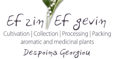 EF ZIN - EF GEVIN Photo 1