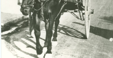 ΟΙΝΟΠΟΙΕΙΟ ΦΛΕΒΑΡΗΣ Φωτογραφία 1