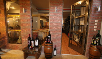 ΟΙΝΟΠΟΙΙΑ ΠΟΥΛΤΣΙΔΗ Φωτογραφία 2