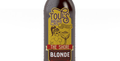 TOUL'S BREWS Photo 5