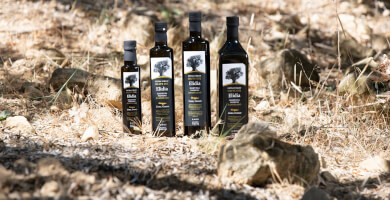 Elidia  extra virgin olive oil glass series