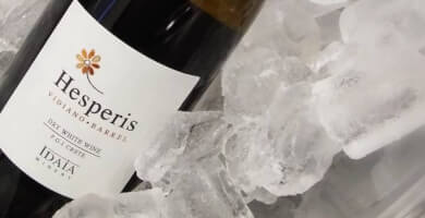 IDAIA WINERY Photo 4