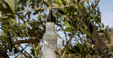Premium Εξαιρετικά έξτρα παρθένο ελαιόλαδο 100ml Spray