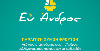 ΛΕΜΟΝΙ ΑΝΔΡΟΥ ΕΕ Φωτογραφία 2