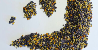 Φρέσκια γύρη ανοιξιάτικης ανθοφορίας.