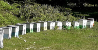 ΜΕΛΙΣΣΟΚΟΜΙΑ ΜΑΓΚΛΑΡΑ ΙΚΕ Φωτογραφία 1