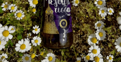 Czech style Lager