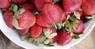 Andreadaki's Cottage Industry Photo 1