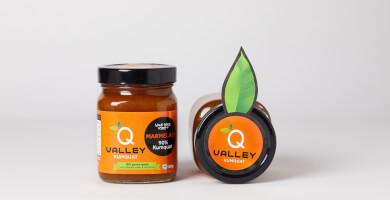 QTRADE Φωτογραφία 3