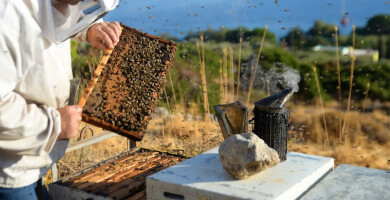 ΓΑΒΑΛΑΣ ΙΩΑΝΝΗΣ ΧΑΡΑΛΑΜΠΟΣ Φωτογραφία 1