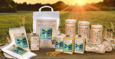 ΗΛΕΣΙΟΝ Φωτογραφία 3 ΗΛΕΣΙΟΝ Φωτογραφία 3