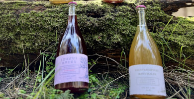 Brettanomyces Manumalus Wild Ale Φωτογραφία 