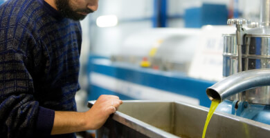 TOMBAZIS OLIVE GROVE Photo 4