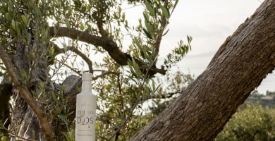 Premium Extra Virgin Olive Oil 500 ml