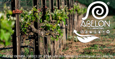 KTIMA BRINTZIKI S.A Photo 4